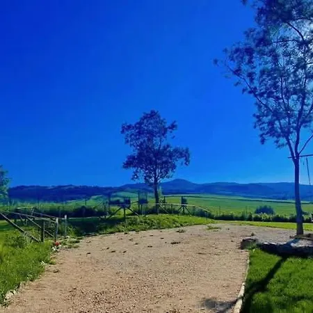 Maremma Amara
